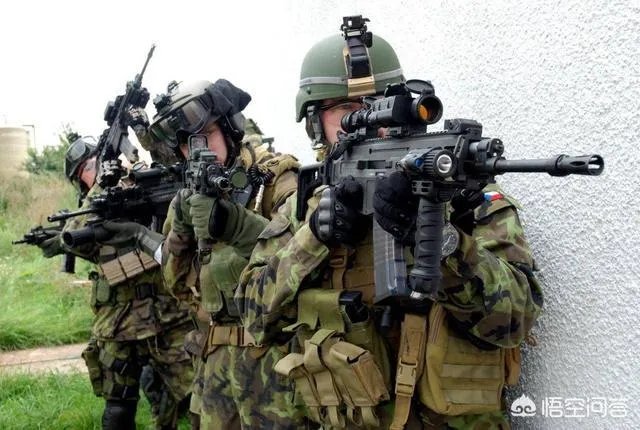 捷克近年有什么新式轻武器？