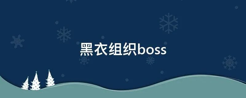 黑衣组织boss
