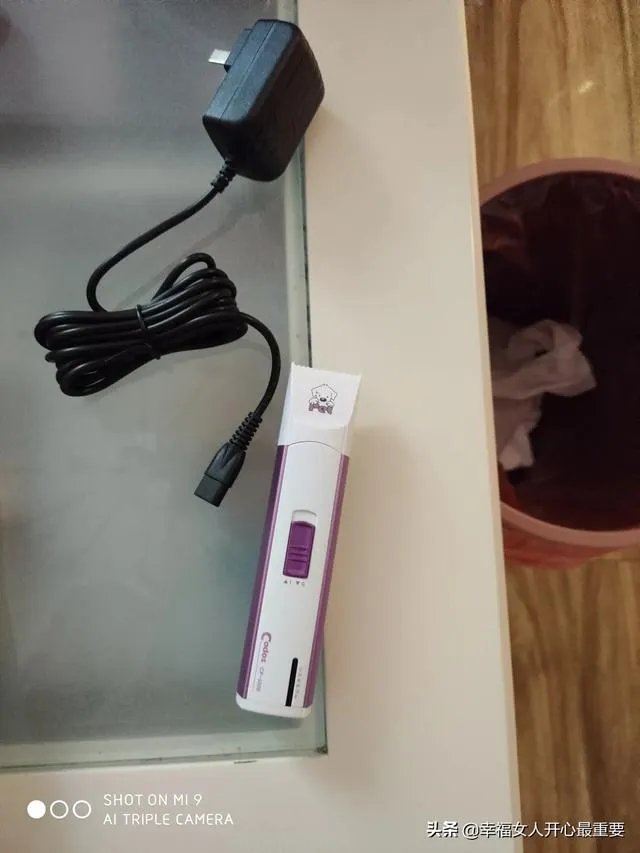 养一只柯基一年大概要多少钱？