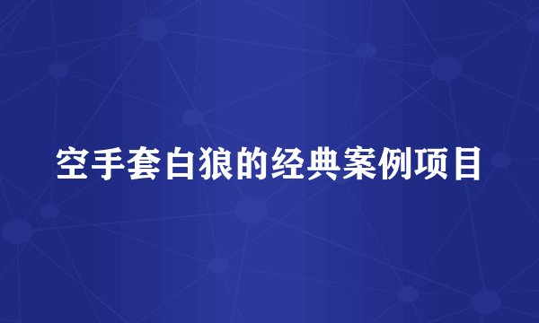空手套白狼的经典案例项目