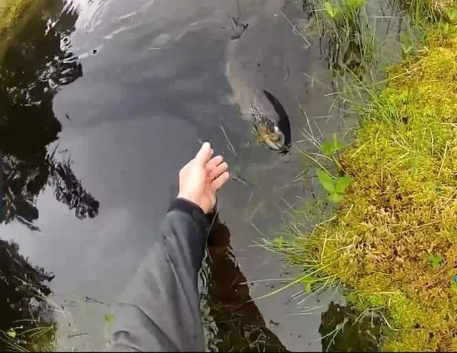 谁可以分享一下路亚钓鱼技巧？