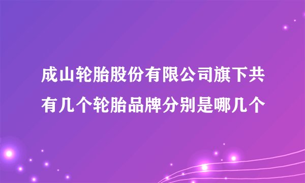 成山轮胎股份有限公司旗下共有几个轮胎品牌分别是哪几个