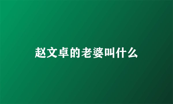 赵文卓的老婆叫什么