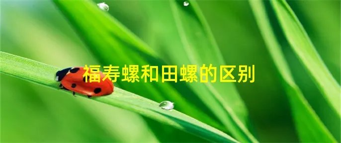 福寿螺和田螺的区别