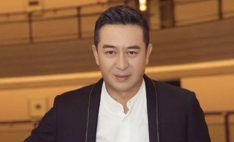 王海燕张嘉译什么关系