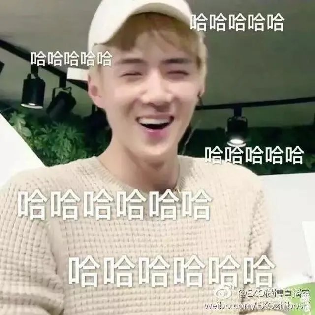 为什么鹿晗不太理张慧雯？