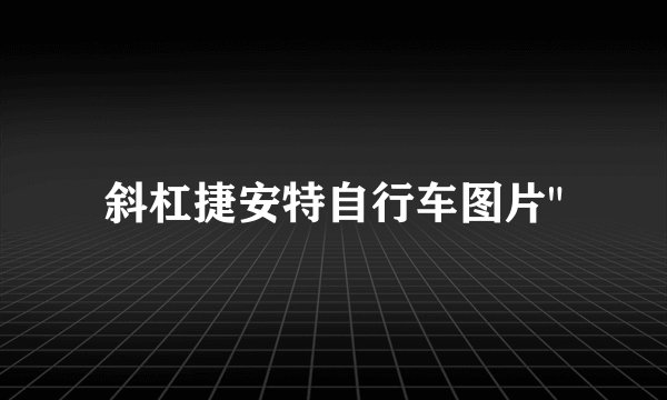 斜杠捷安特自行车图片