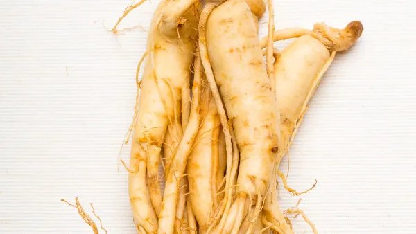 党参的功效与作用禁忌