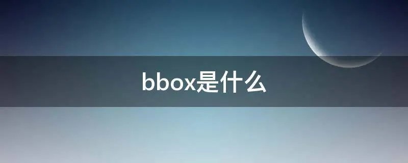 bbox是什么