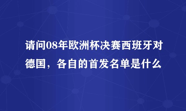 请问08年欧洲杯决赛西班牙对德国，各自的首发名单是什么