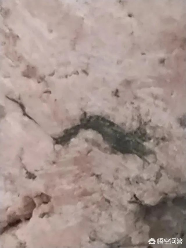 美国航母舰队包围伊朗,军费从哪里来,每天需要投入多少军费?