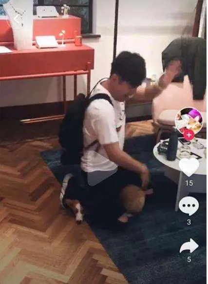 杜若溪发文写了什么?