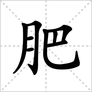 肥的笔顺怎么写