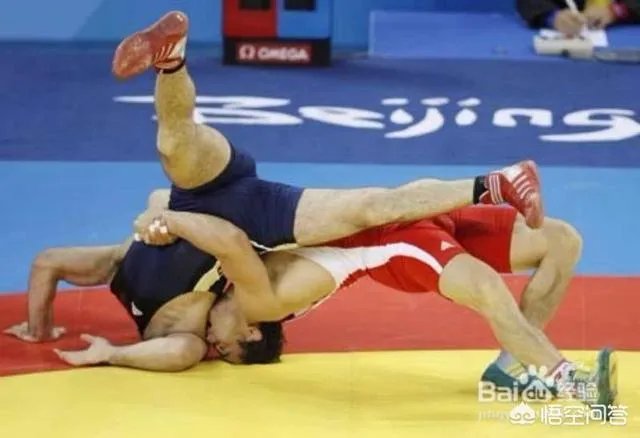 如何欣赏奥运会的摔跤比赛？