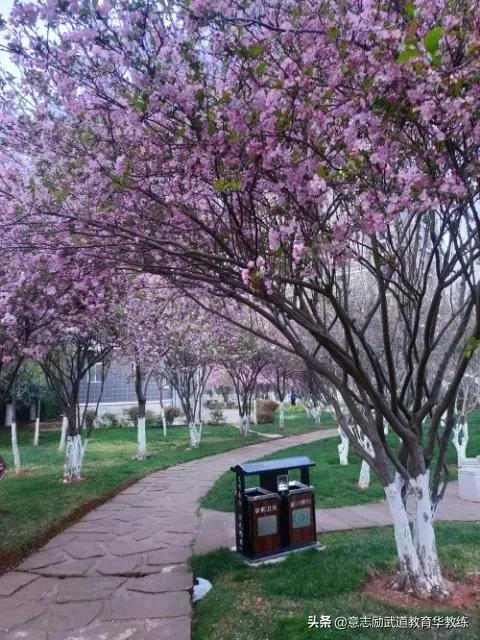 美国总统特朗普新冠病毒检测结果呈阴性，您怎么看呢？