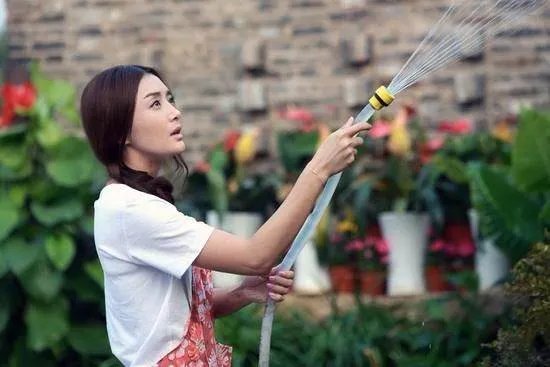 秦岚结婚了吗?为什么很少看到有关她感情的新闻?