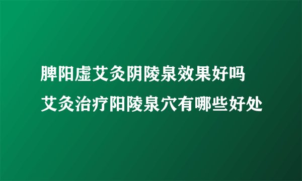脾阳虚艾灸阴陵泉效果好吗 艾灸治疗阳陵泉穴有哪些好处