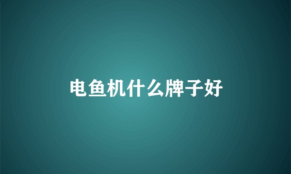电鱼机什么牌子好