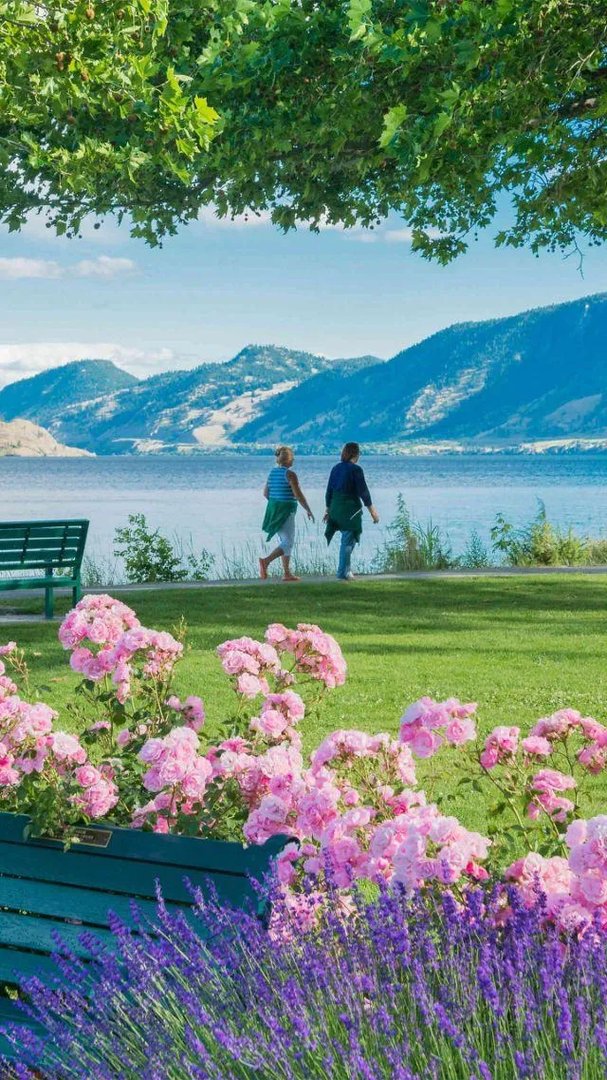 有没有粉色可爱壁纸？