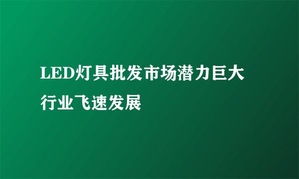LED灯具批发市场潜力巨大 行业飞速发展