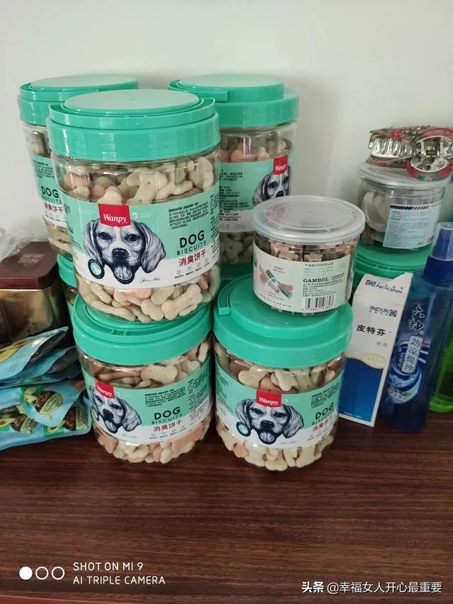 养一只柯基一年大概要多少钱？