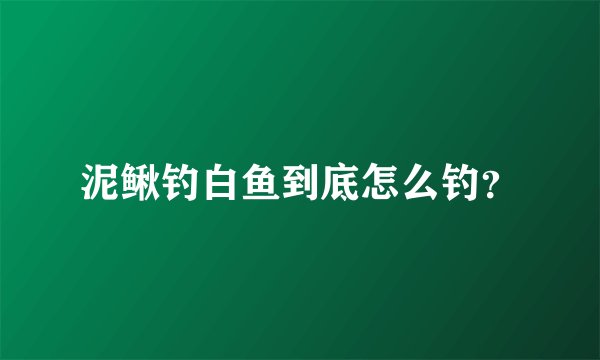 泥鳅钓白鱼到底怎么钓？