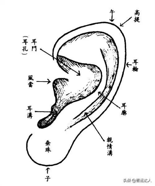 有人说耳朵大，有福气，耳朵小注定没前途，是真的吗？