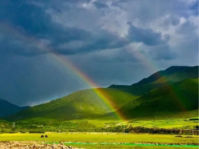 青海门源你去过吗？