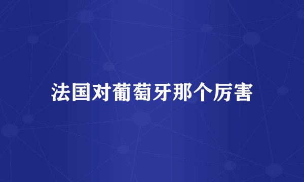 法国对葡萄牙那个厉害