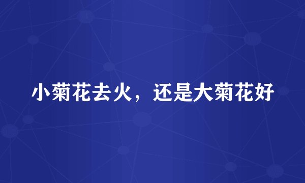 小菊花去火，还是大菊花好