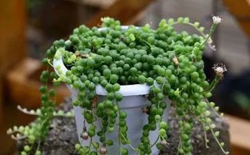 右眼皮跳测吉凶 右眼皮跳吉凶时间表