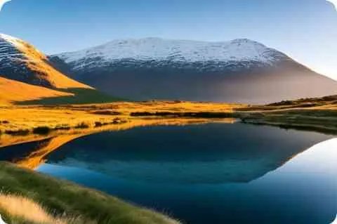 元秋简介及详细资料