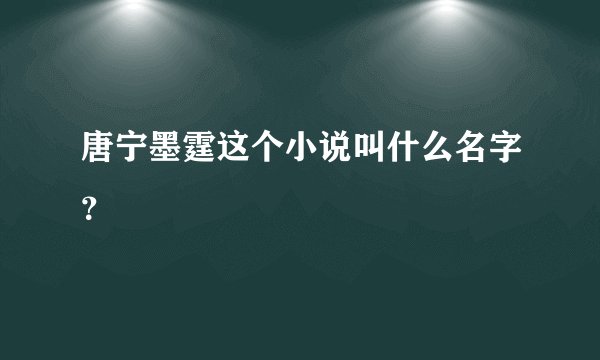 唐宁墨霆这个小说叫什么名字？