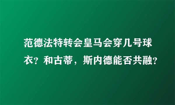 范德法特转会皇马会穿几号球衣？和古蒂，斯内德能否共融？