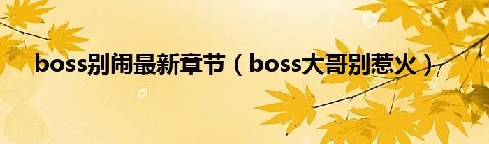 boss别闹最新章节（boss大哥别惹火）