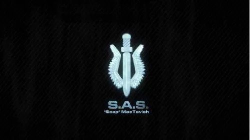 141特勤队标志设计上有什么含义