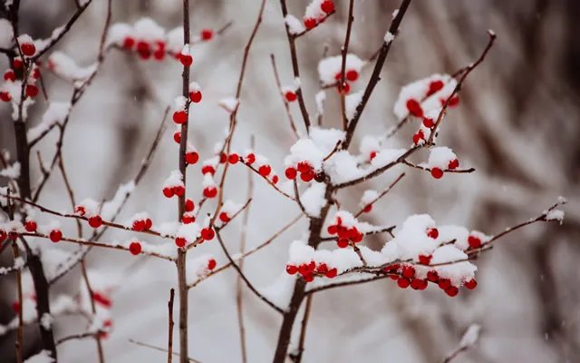 冬至是几月几日 冬至的习俗有哪些