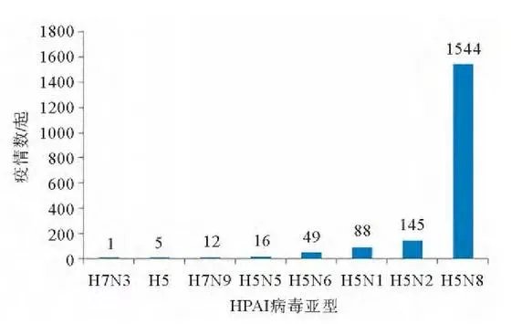 北京圆明园野天鹅禽流感疫情,会传染我们吗?