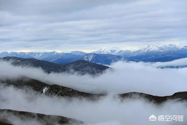 青岛公交又现“最美弯腰”，104路公交乘务员为视障乘客系鞋带获赞, 你怎么看？