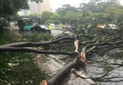 江苏14级大风，14级大风能有多猛烈？