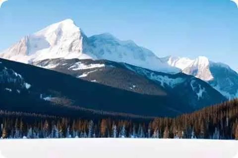 东风卫视简介及详细资料