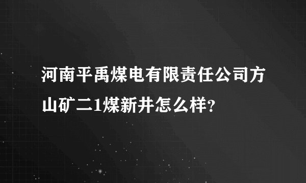 河南平禹煤电有限责任公司方山矿二1煤新井怎么样？