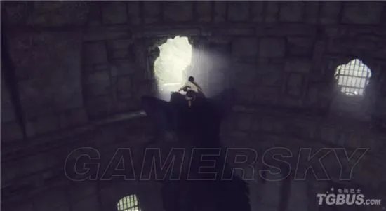 《最后的守护者》图文攻略 全章节图文流程攻略