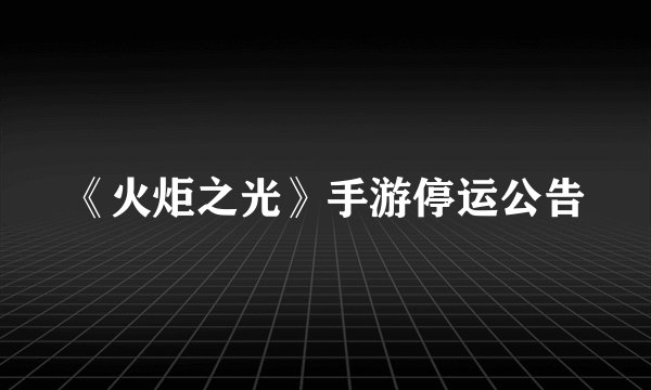 《火炬之光》手游停运公告