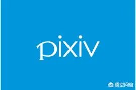 全球最大b站影库