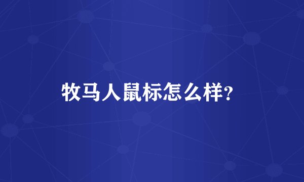牧马人鼠标怎么样？