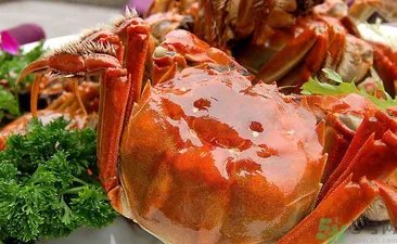 九月份吃公蟹还是母蟹？公蟹和母蟹哪个更好吃？