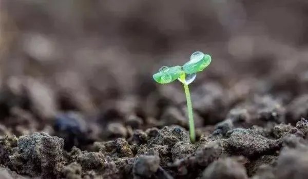 2018感动中国十大人物事迹及颁奖词