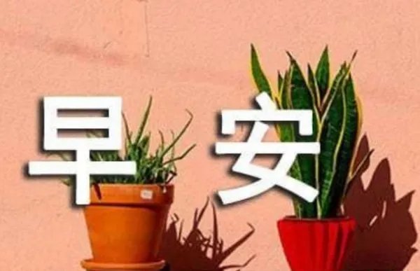 励志早安语录适合发朋友圈早安的句子