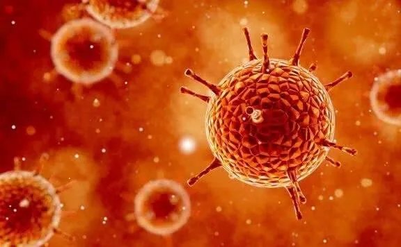 如何评价世卫组织举办的